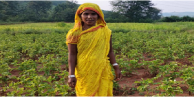 Monsoon Potato Brings Livelihood Transformation in Kashipur Block: