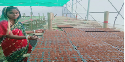Micro Agri-Enterprise Empowers Malati Mohanta: