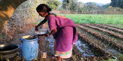 Non-Pesticide Management Practice Augmenting Surai’s Agriculture Production: