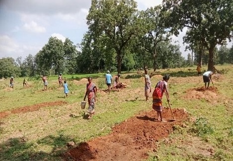 From Orchards to Agency: Women Driving Sustainable Agriculture in Keonjhar